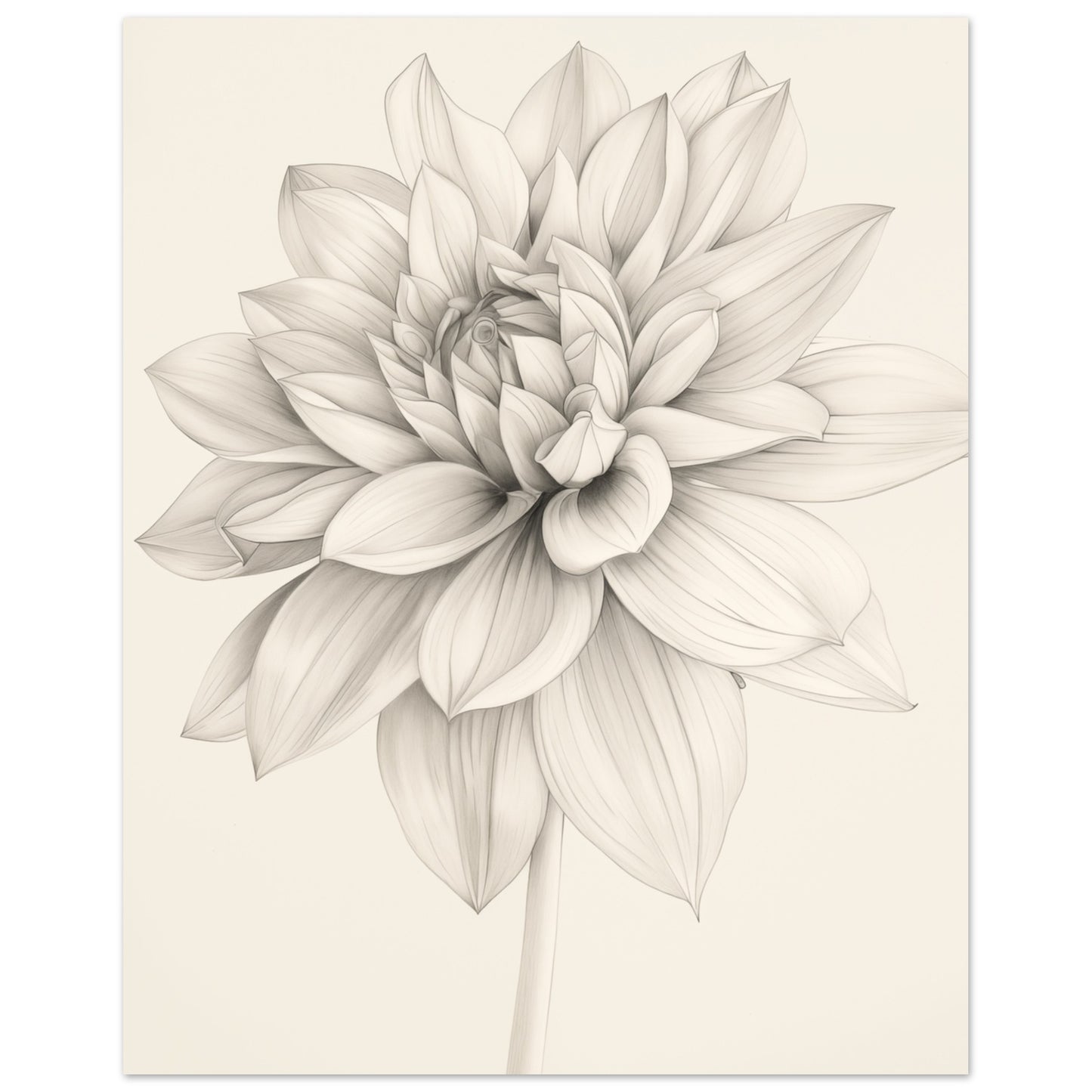 Dahlienzauber 20x25 cm - Pixara
