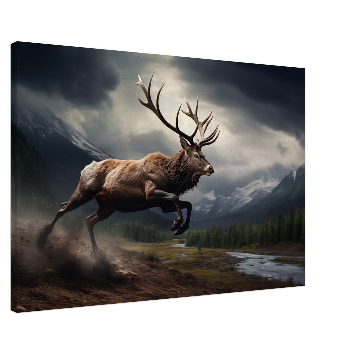 Eilender Monarch Leinwand 60x90 cm - Pixara