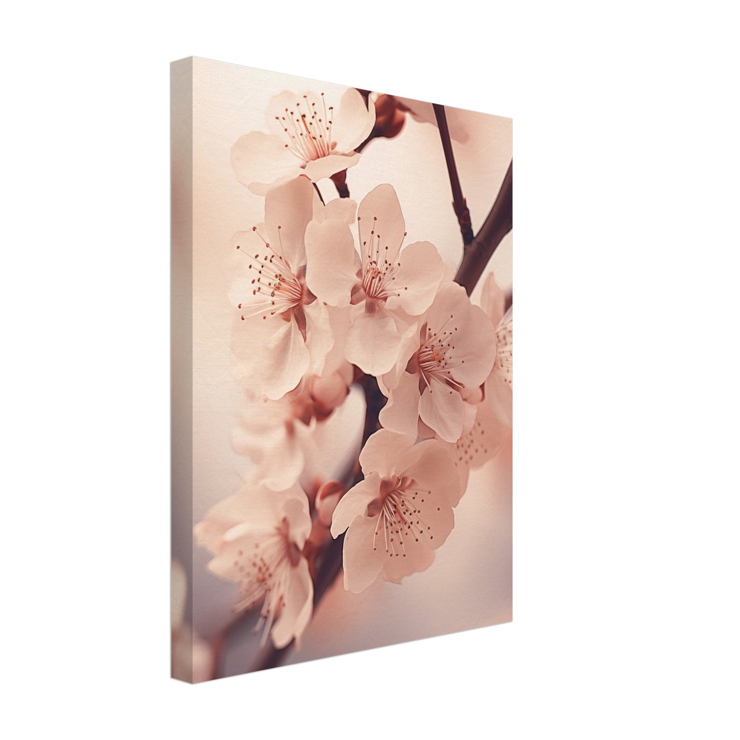 Kirschblüten Leinwand 30x40 cm - Pixara
