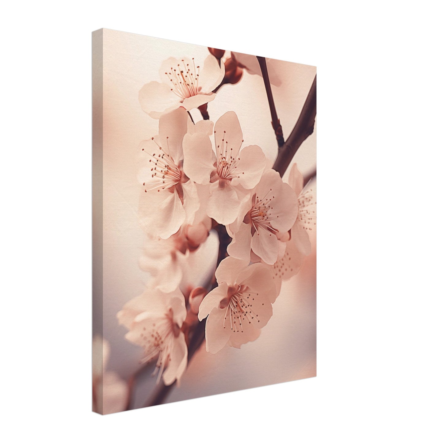 Kirschblüten Leinwand 40x50 cm - Pixara