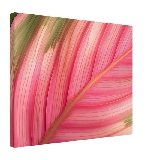 Calathea-Magie Leinwand 40x50 cm - Pixara