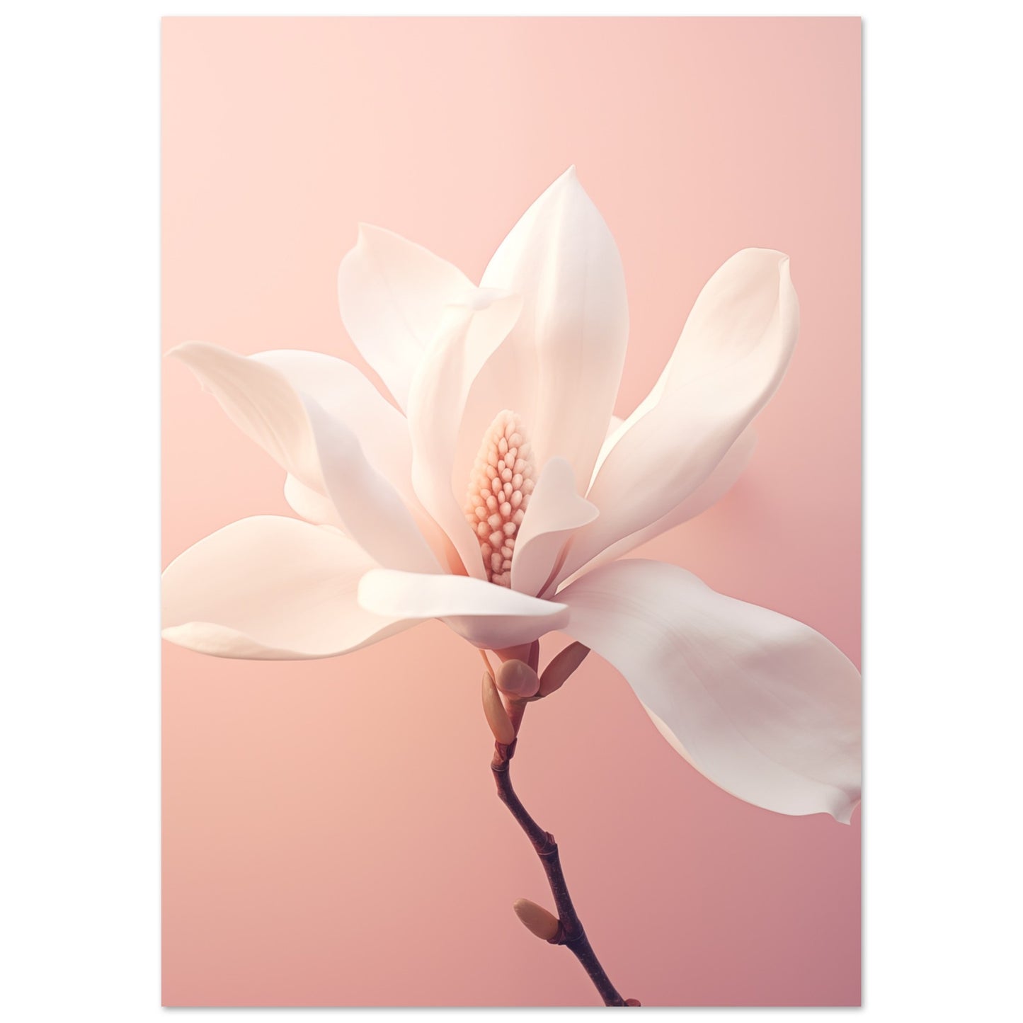 Frühlingserwachen Poster A4 21x29.7 cm - Pixara