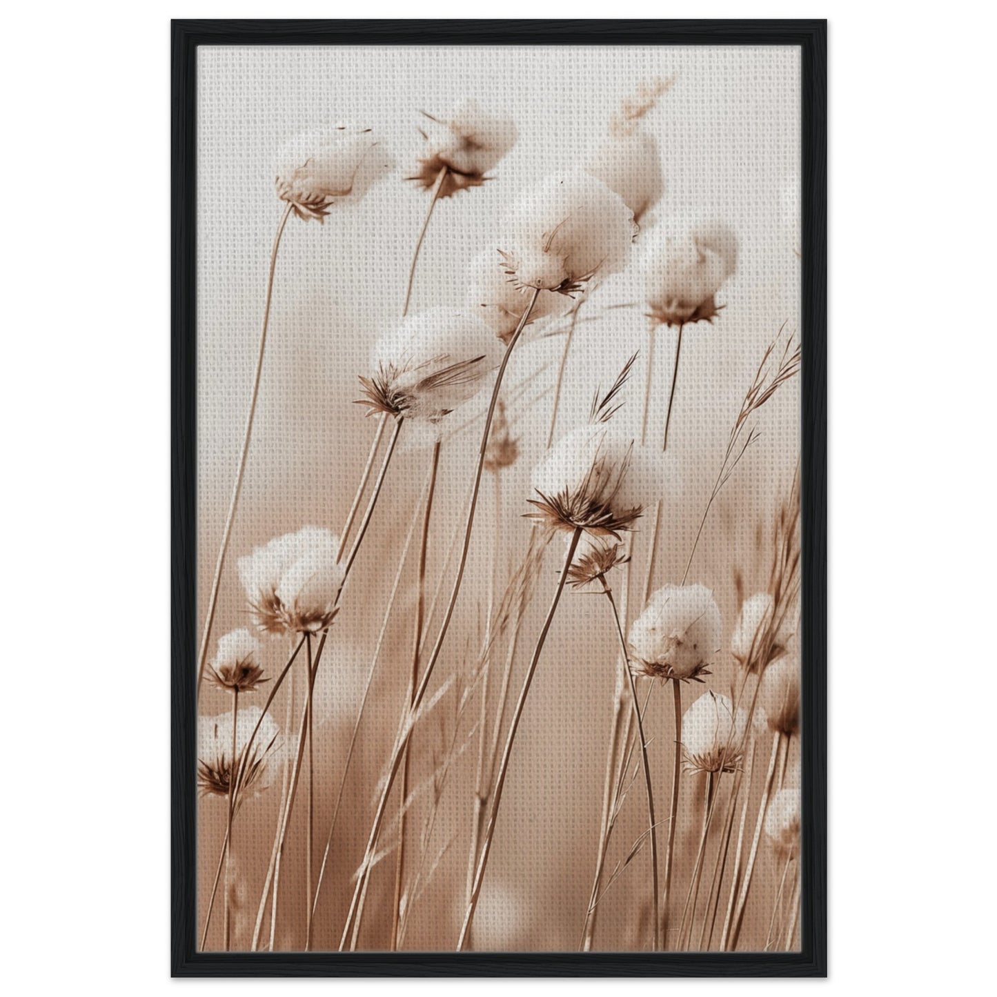 Flauschige Baumwollblumen | Gerahmte Leinwand Schwarzer Rahmen 60x90 cm - Pixara