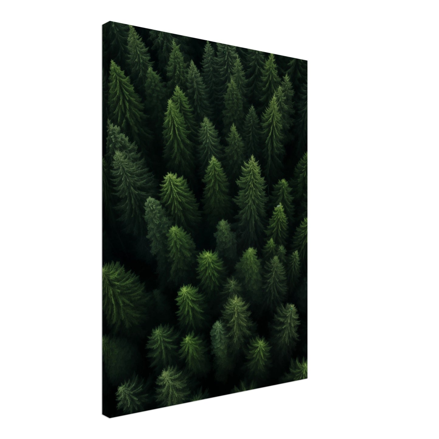 Wald von oben Leinwand 50x70 cm - Pixara