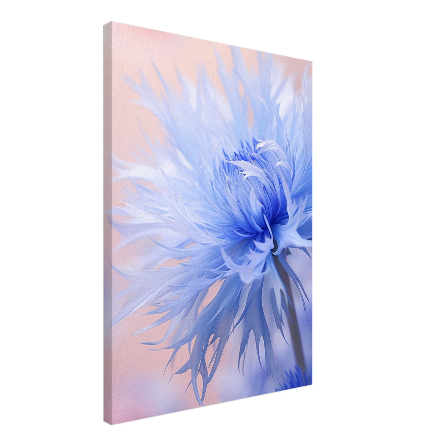 Kornblume Leinwand 50x70 cm - Pixara
