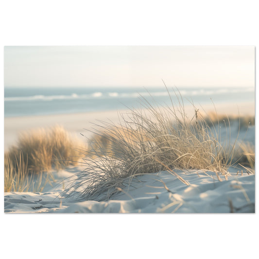 Sand und Schilf Poster 60x90 cm - Pixara