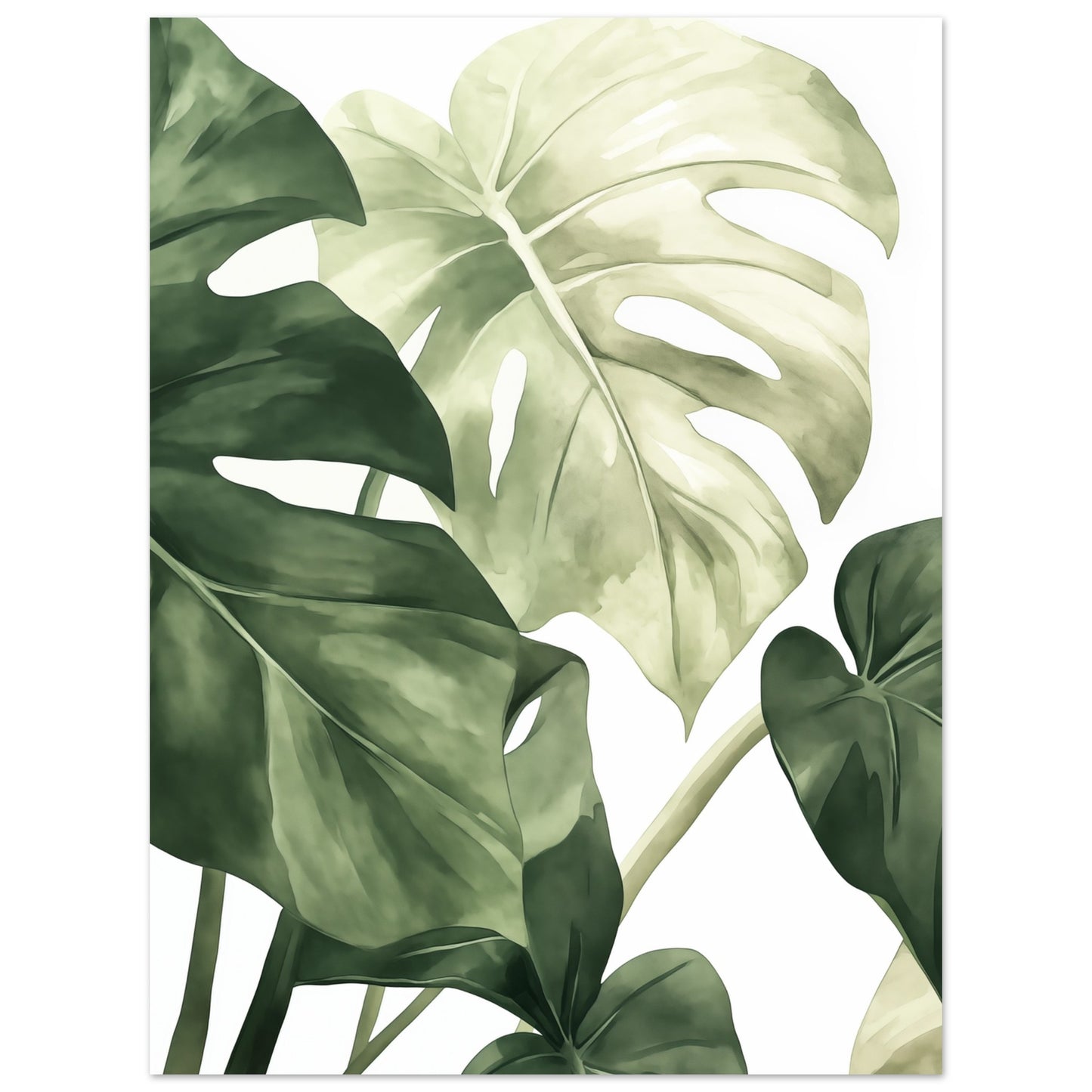 Monstera Blätter Poster 30x40 cm - Pixara