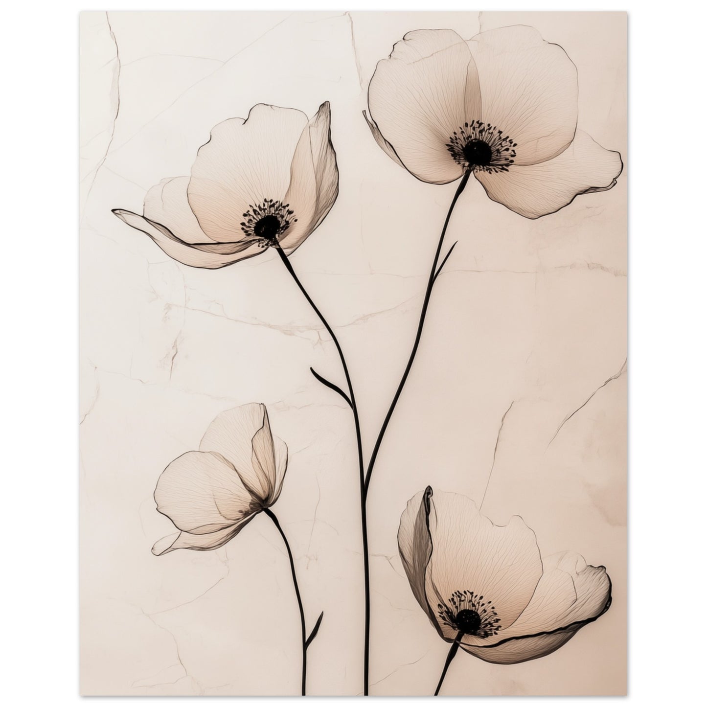 Zarte Mohnblüten 40x50 cm - Pixara
