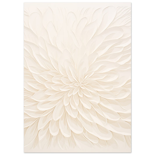 Sanfte Chrysantheme Poster 50x70 cm - Pixara