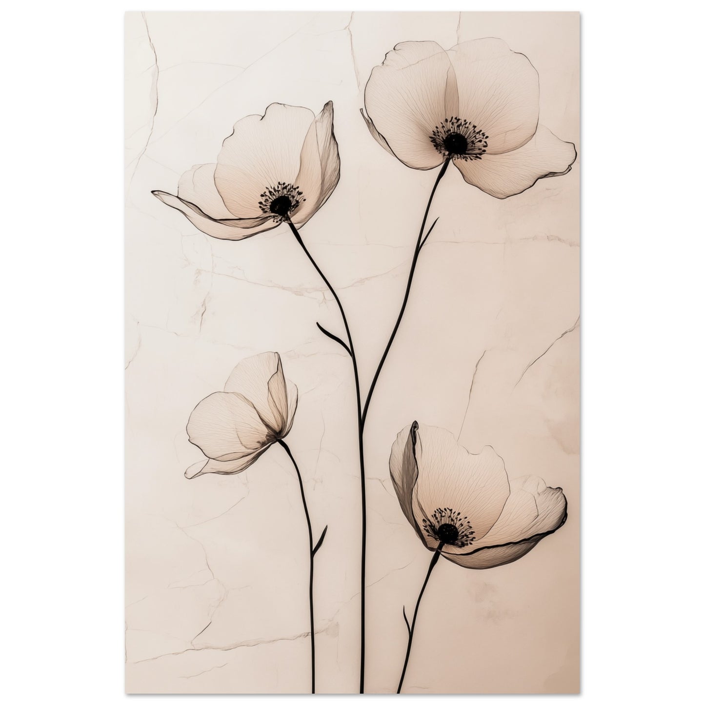 Zarte Mohnblüten 60x90 cm - Pixara