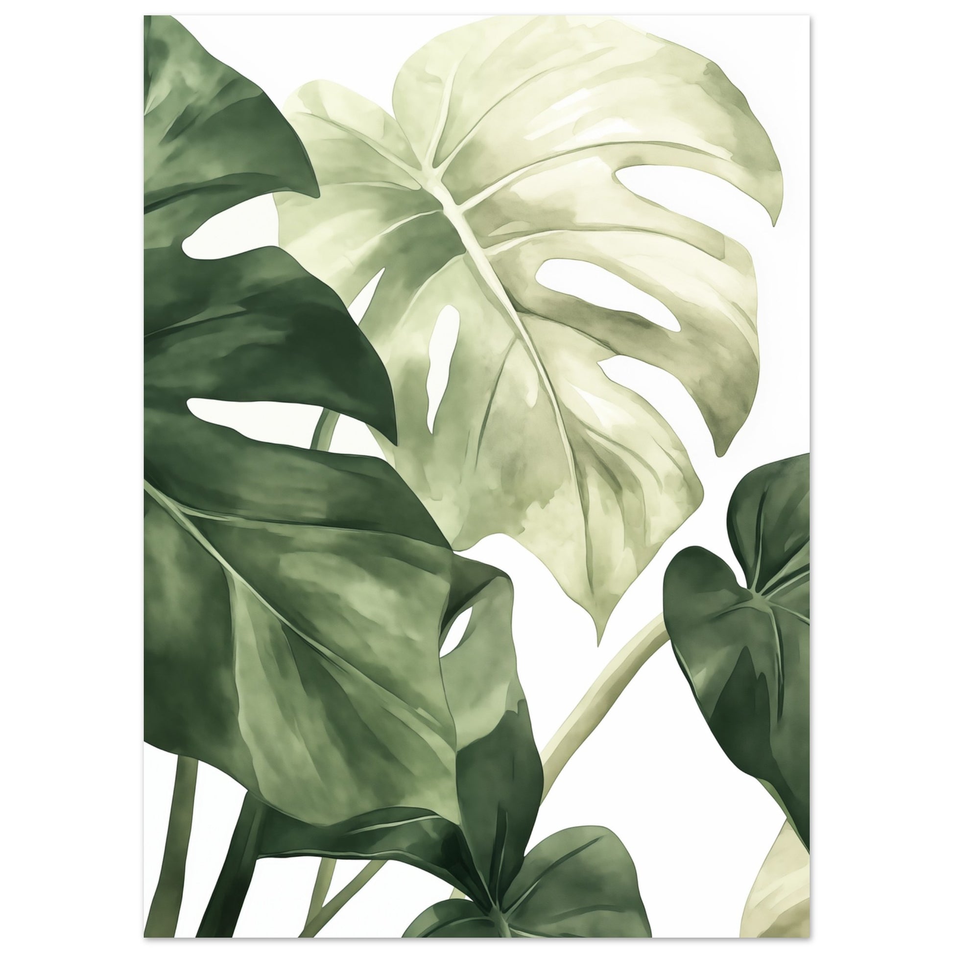 Monstera Blätter Poster 13x18 cm - Pixara