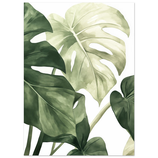 Poster „Monstera Blätter“ mit große Monstera-Blätter in verschiedenen Grüntönen auf weißem Grund, 13x18 cm