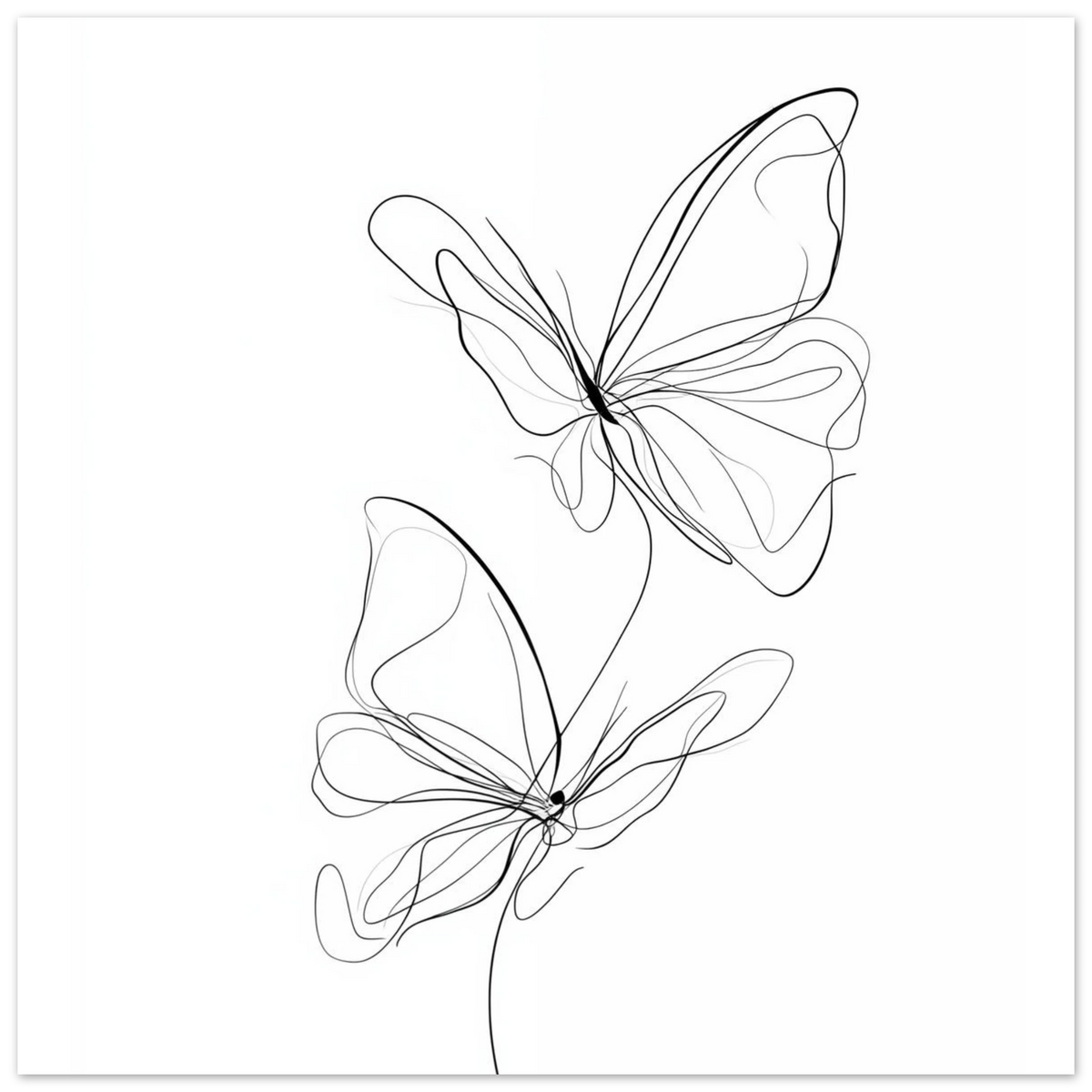 Poster „Federleicht , Schmetterlinge in Linie“ mit zwei filigrane Schmetterlinge als minimalistische schwarze Linienzeichnung, 40x40 cm