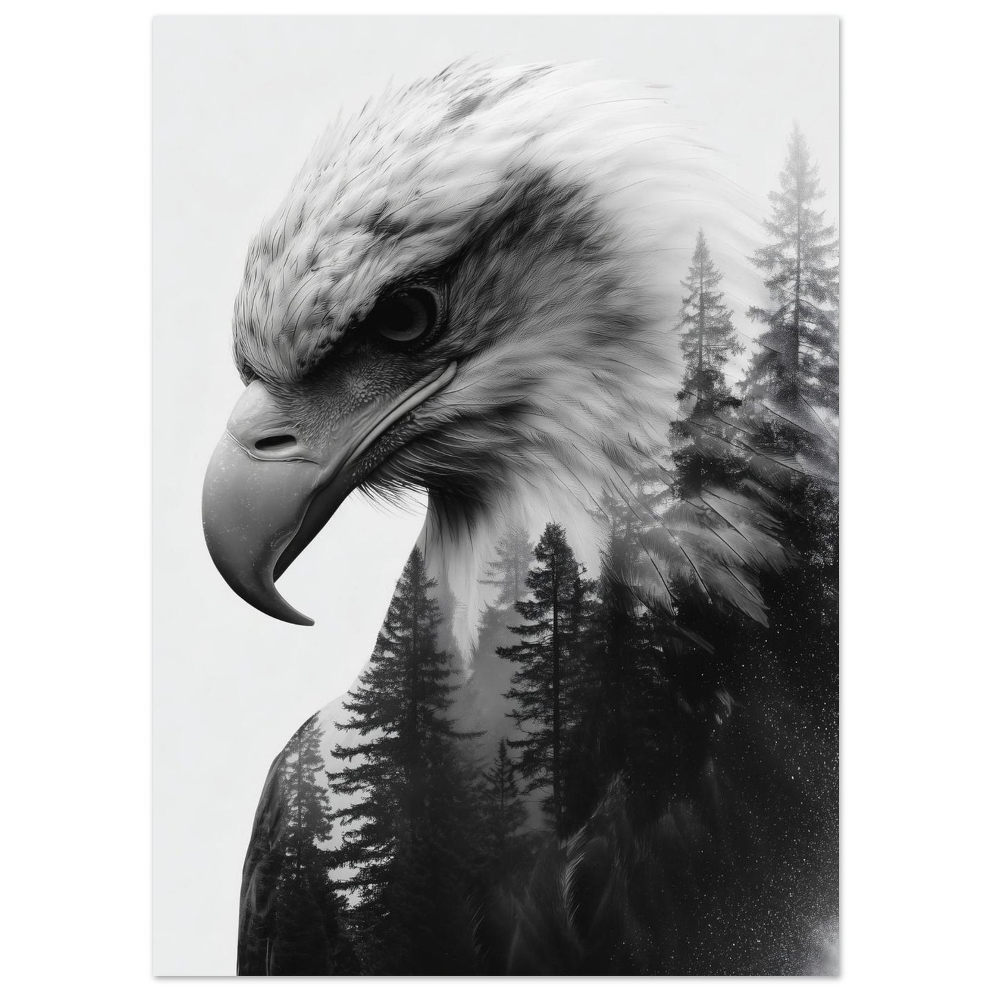 Adler & Wald – Schwarzweiß Doppelbelichtung 50x70 cm - Pixara