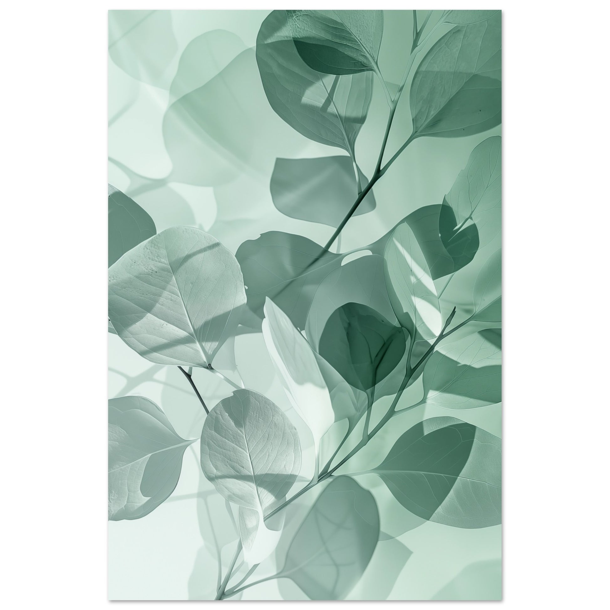 Eukalyptus-Träume Poster 60x90 cm - Pixara