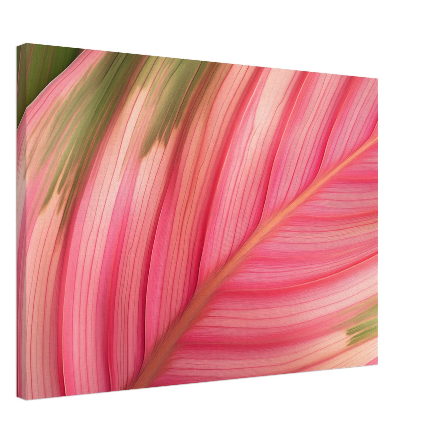 Calathea-Magie Leinwand 50x70 cm - Pixara