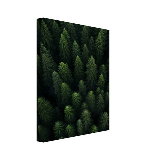 Leinwand „Wald von oben“ mit dichtem dunkelgrünem Nadelwald aus der Vogelperspektive, 20x25 cm