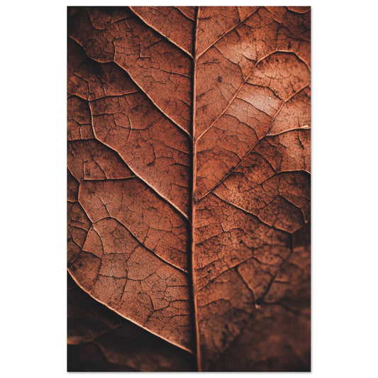 Herbstliches Laub – Natur im Detail Poster 60x90 cm - Pixara