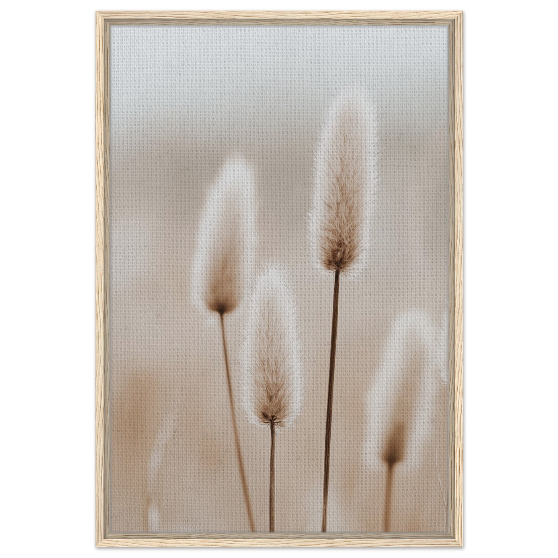 Hasenschwanzgräser in sanften Tönen | Gerahmte Leinwand Holzrahmen 60x90 cm - Pixara