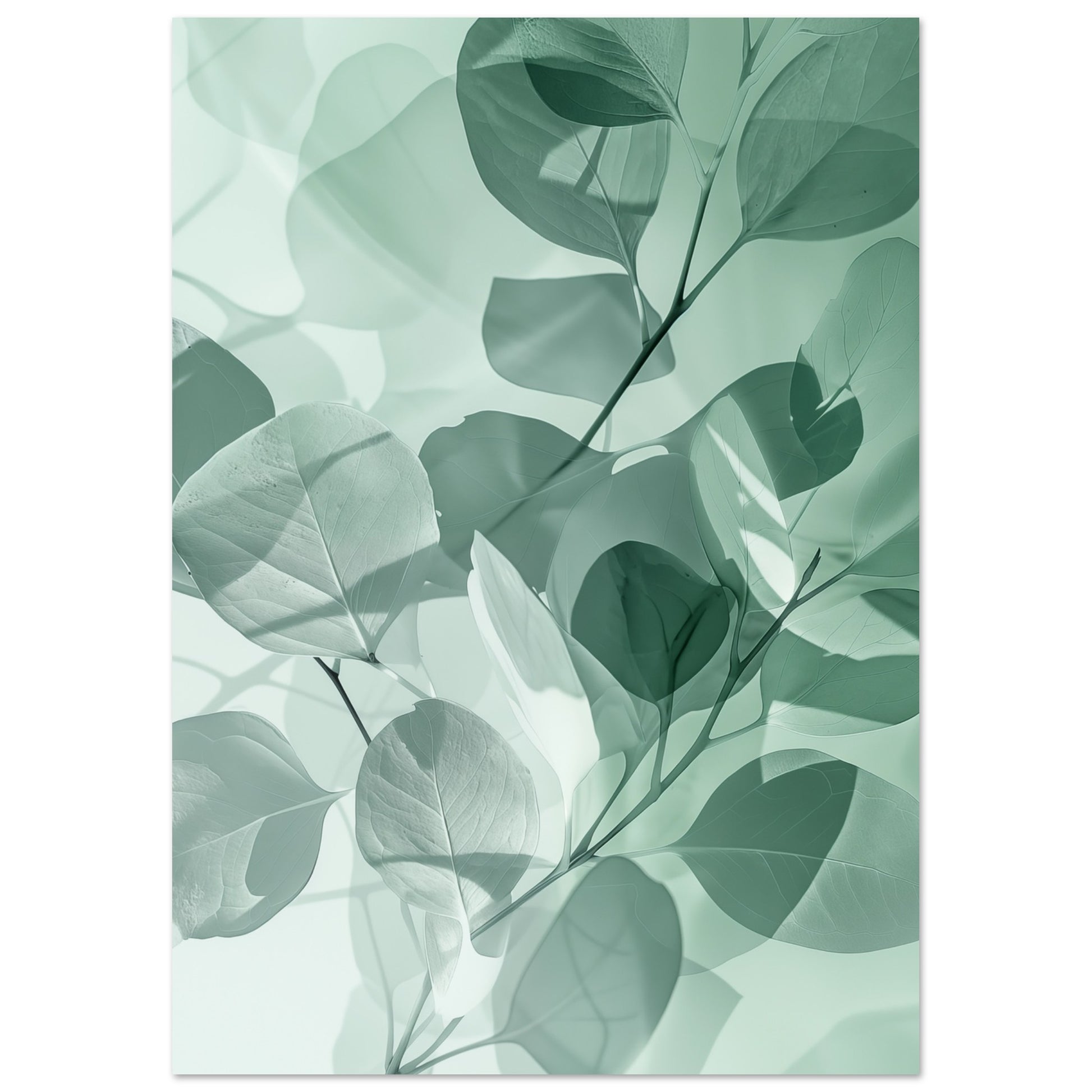 Eukalyptus-Träume Poster A4 21x29.7 cm - Pixara