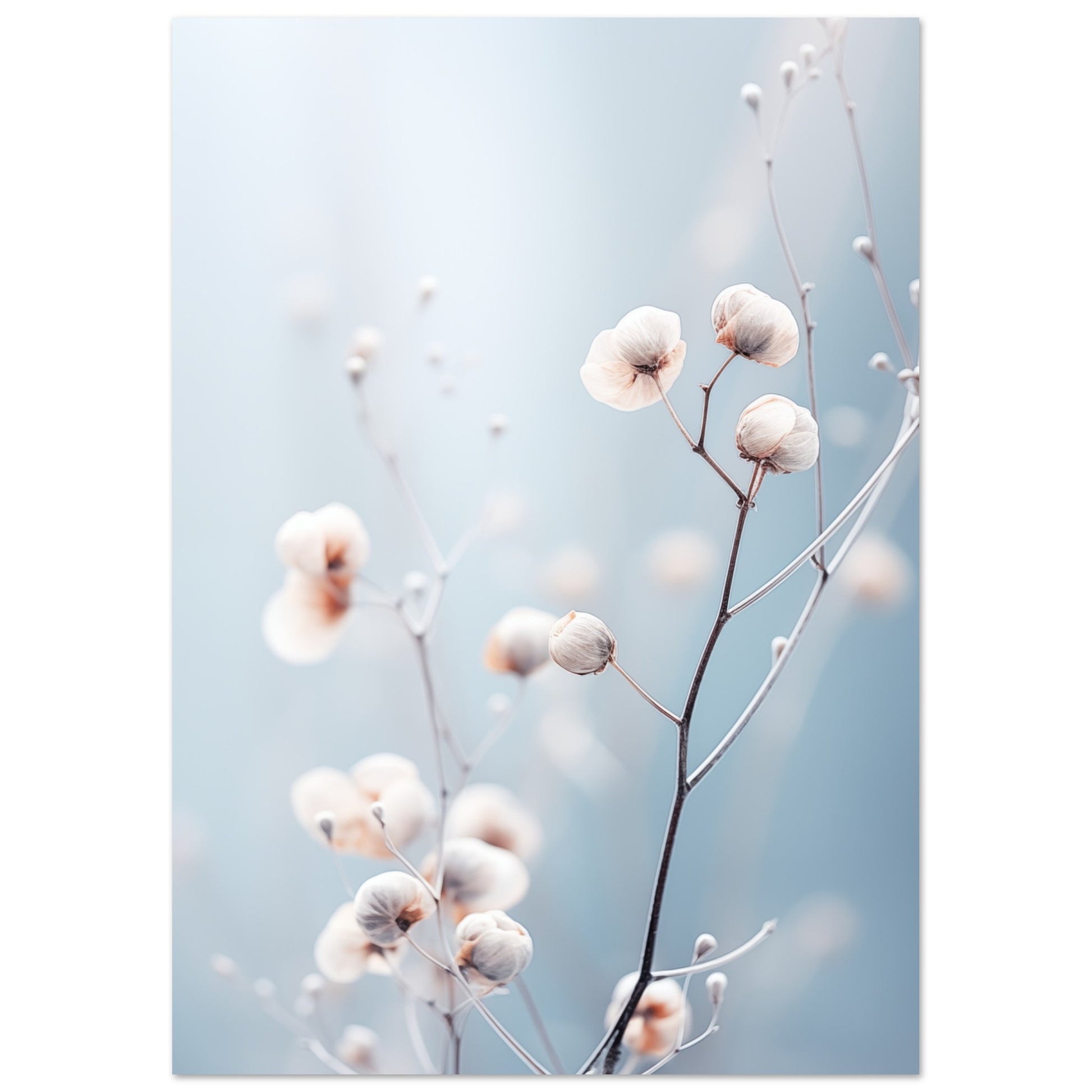 Sanfte Winterblüte Poster A4 21x29.7 cm - Pixara