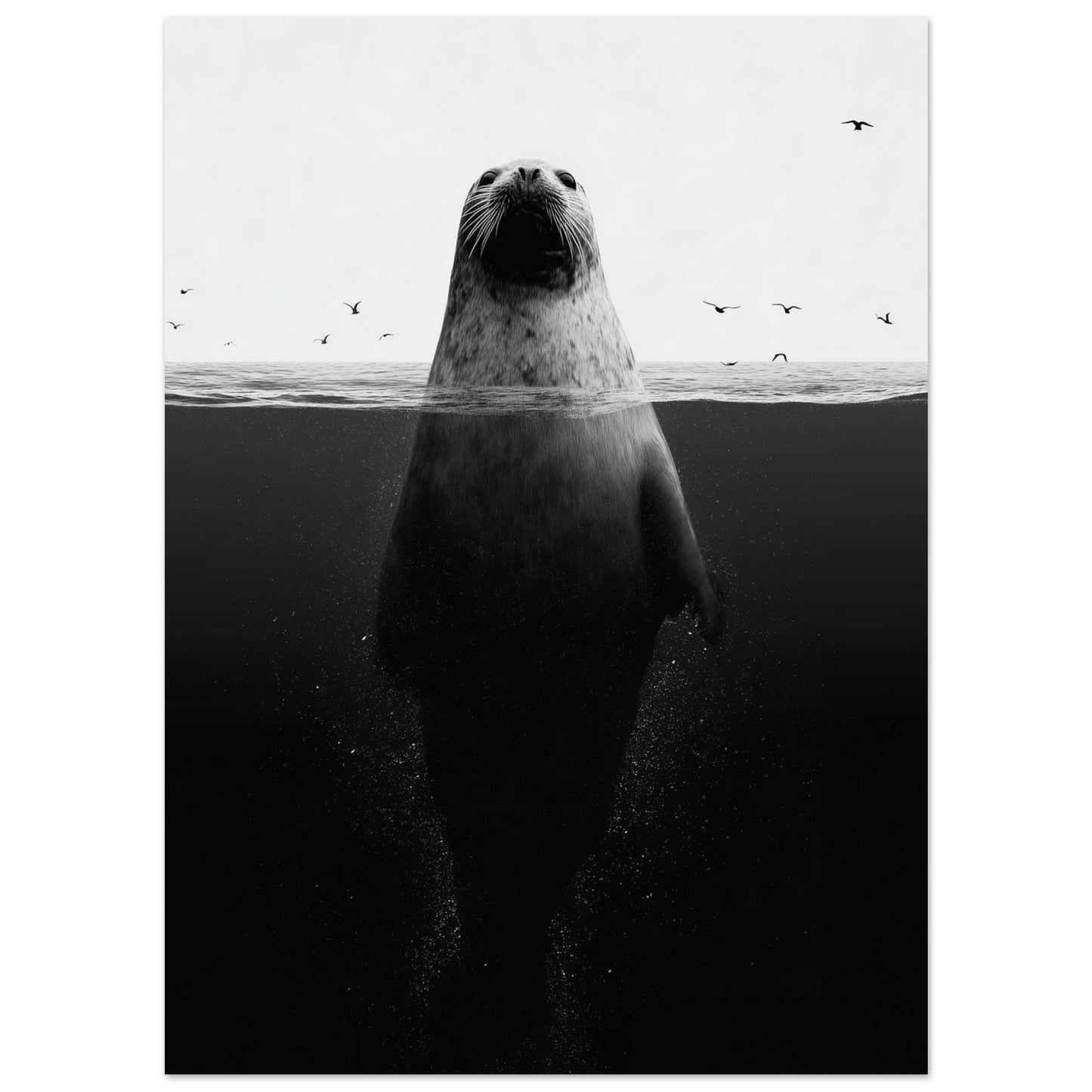 Robbe im Meer – Stille unter der Oberfläche 13x18 cm - Pixara