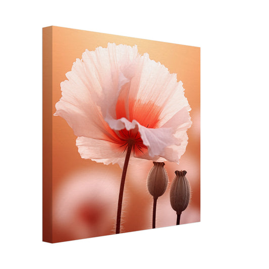 Leinwand „Sanfte Entfaltung“ mit rosa Mohnblüte mit korallfarbenem Zentrum und Samenkapseln, 30x30 cm