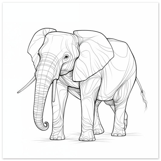 Poster „Gentle Giant“ mit Elefantenporträt als schwarze Line Art auf weißem Grund, 25x25 cm