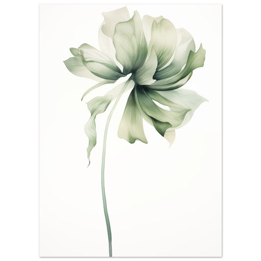 Poster „Florale Whisper“ mit einzelne zarte Blüte in Weiß und blassem Grün mit langem Stiel, 13x18 cm