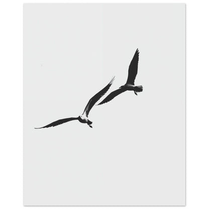 Schwarzer Flug Poster 20x25 cm - Pixara