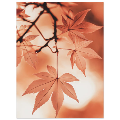 Herbstlicher Ahorntraum 30x40 cm - Pixara