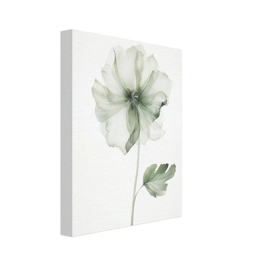 Leinwand „Eleganz der Natur“ mit zarte grüne Blüte mit transparenten Blütenblättern und Stiel, 20x25 cm