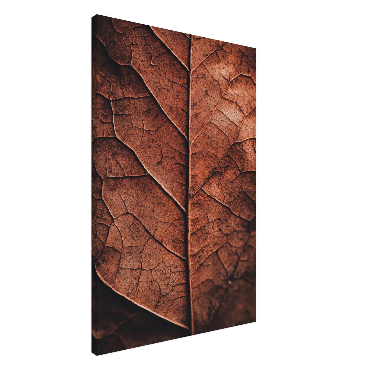 Herbstliches Laub – Natur im Detail Leinwand 60x90 cm - Pixara