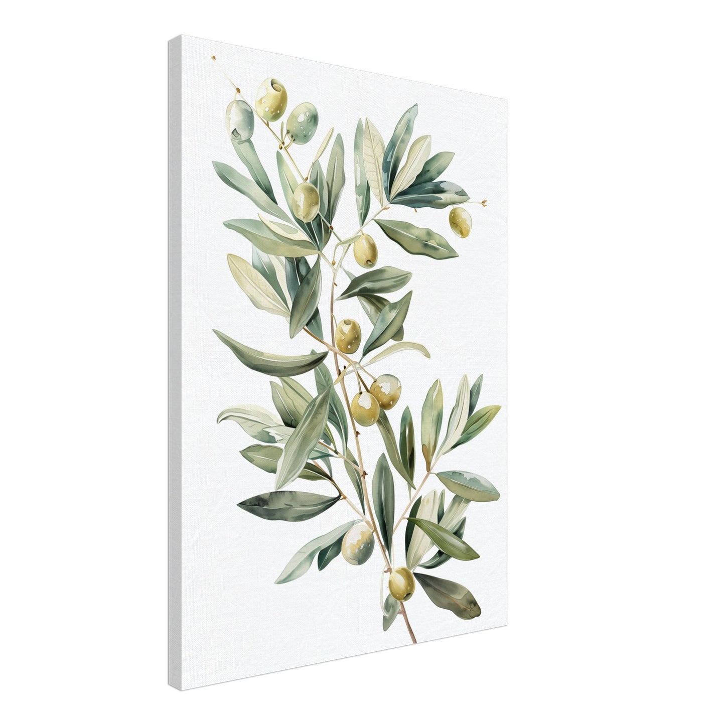 Mediterranean Olive Leinwand 50x70 cm - Pixara