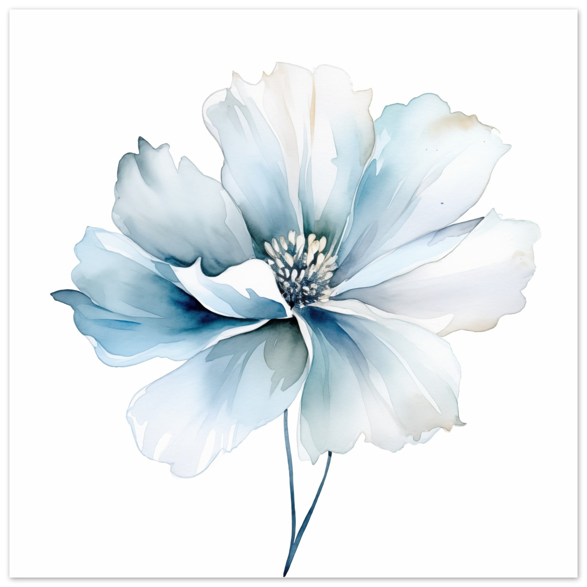 Aquamarinblüte Poster 50x50 cm - Pixara