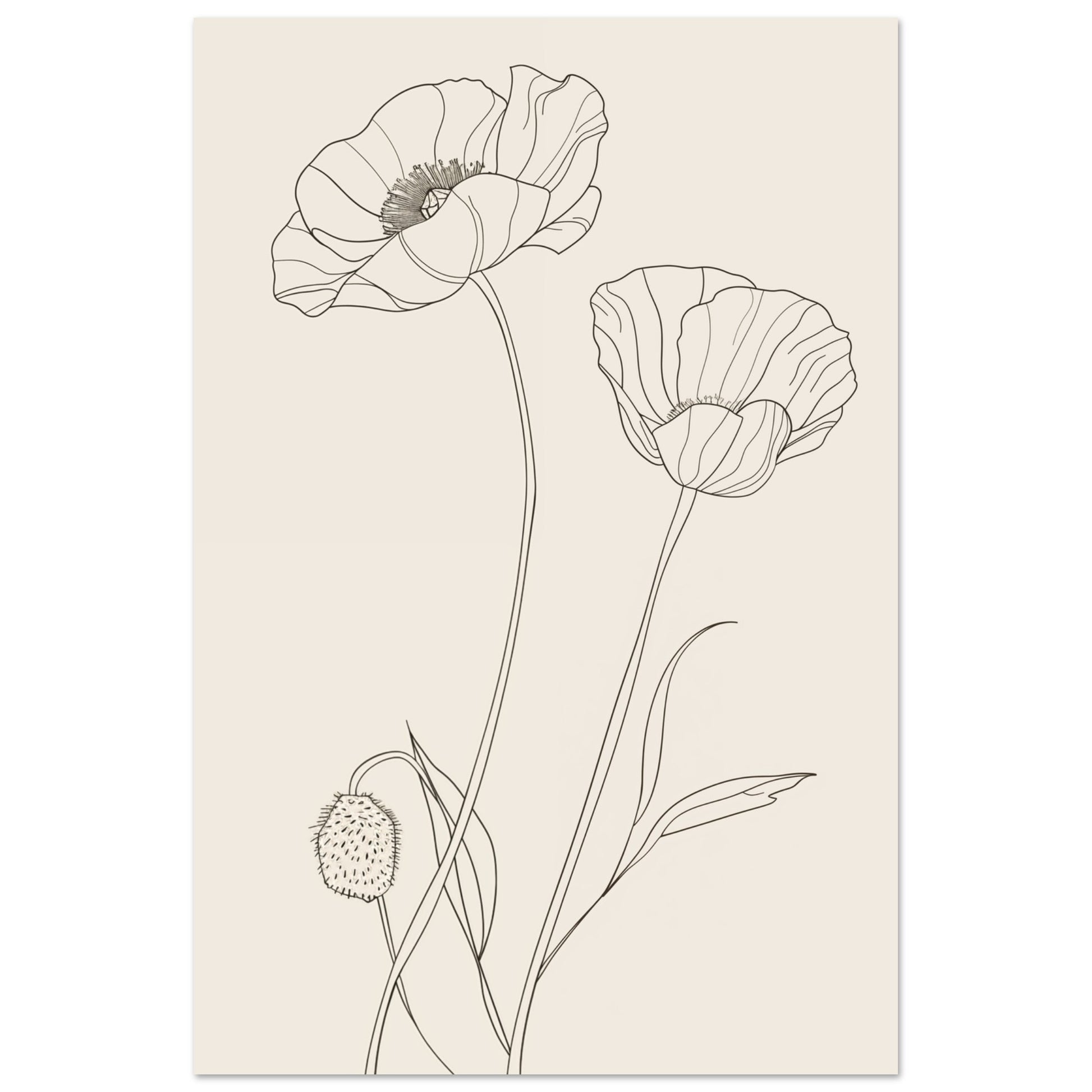 Wandbild „Minimalistische Mohnblumen“ mit minimalistische Mohnblumen als feine botanische Linienzeichnung, 60x90 cm