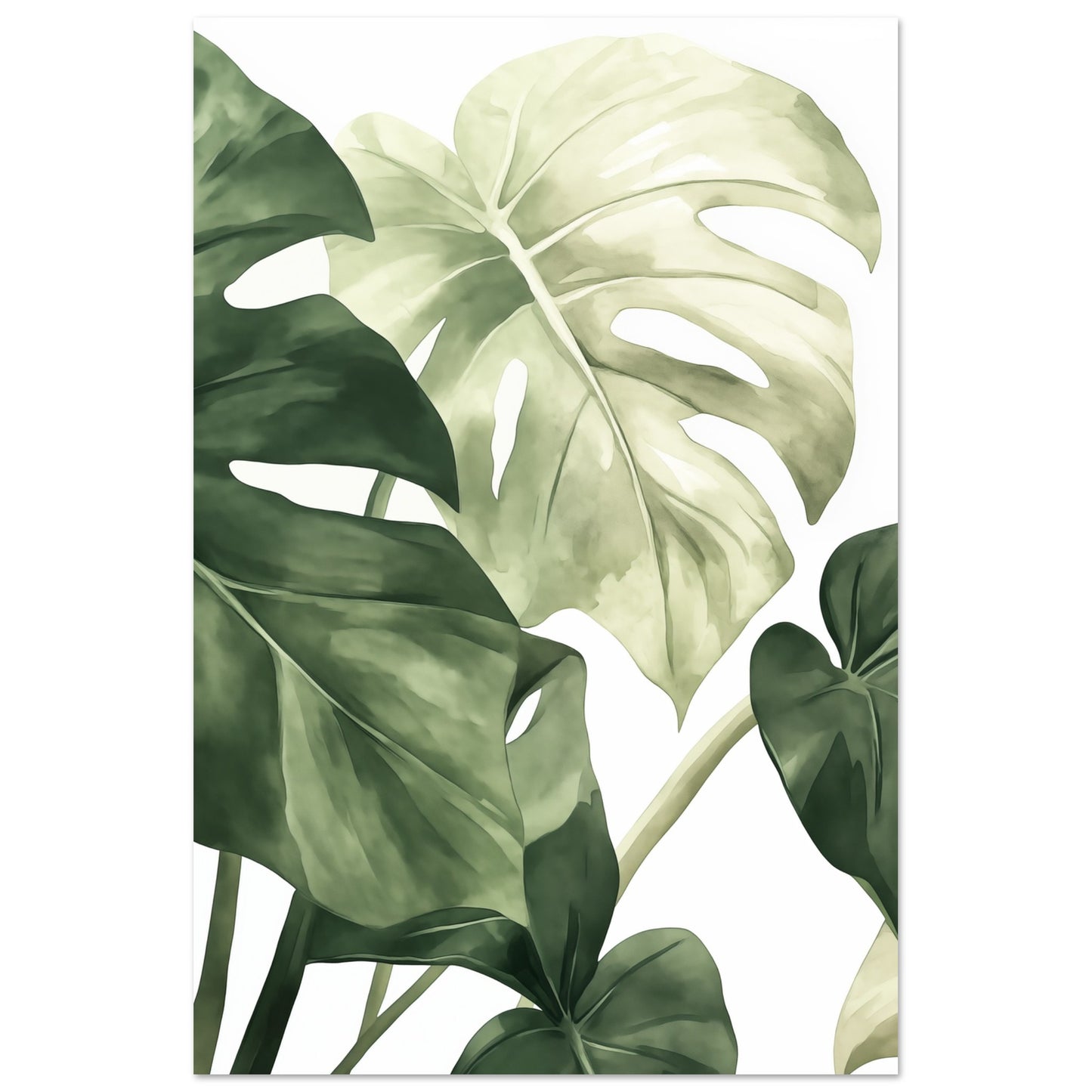 Monstera Blätter Poster 60x90 cm - Pixara