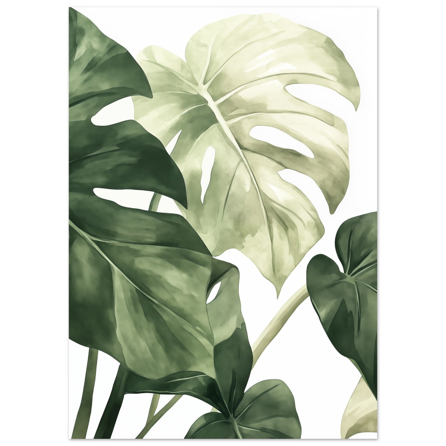 Monstera Blätter Poster 50x70 cm - Pixara