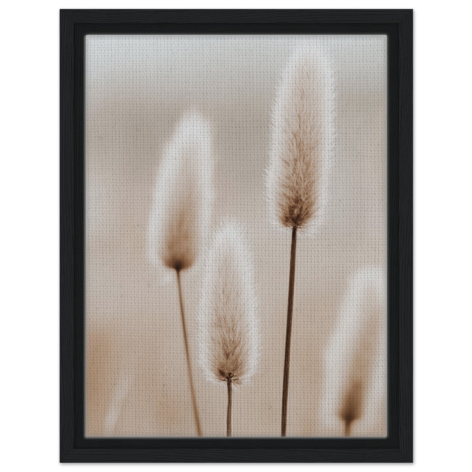 Hasenschwanzgräser in sanften Tönen | Gerahmte Leinwand Schwarzer Rahmen 30x40 cm - Pixara