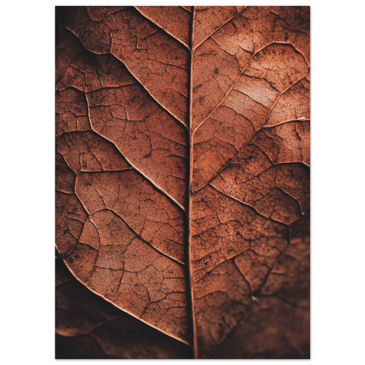 „Herbstliches Laub , Natur im Detail“ als Poster mit Nahaufnahme eines trockenen Herbstblatts mit feiner Aderstruktur in warmem, Ansicht 8
