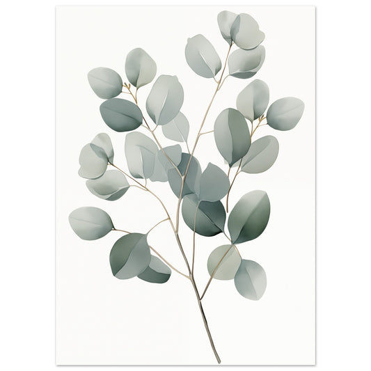 Poster „Eukalyptus“ mit Eukalyptuszweig mit runden salbeigrünen Blättern, 13x18 cm