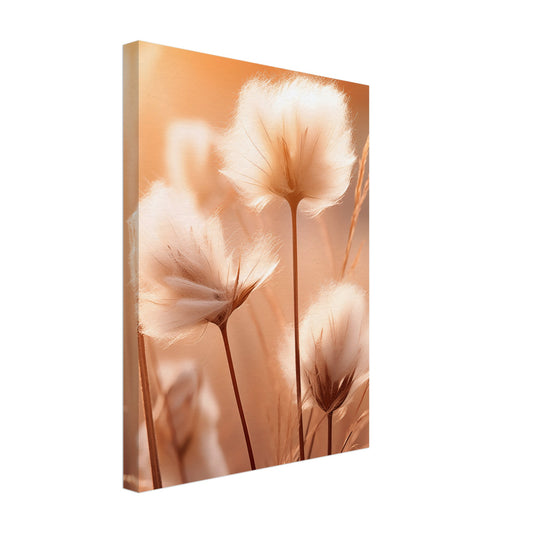 Leinwand „Baumwolle“ mit weichen Baumwollblüten in Apricot und Terrakotta, 30 × 40 cm