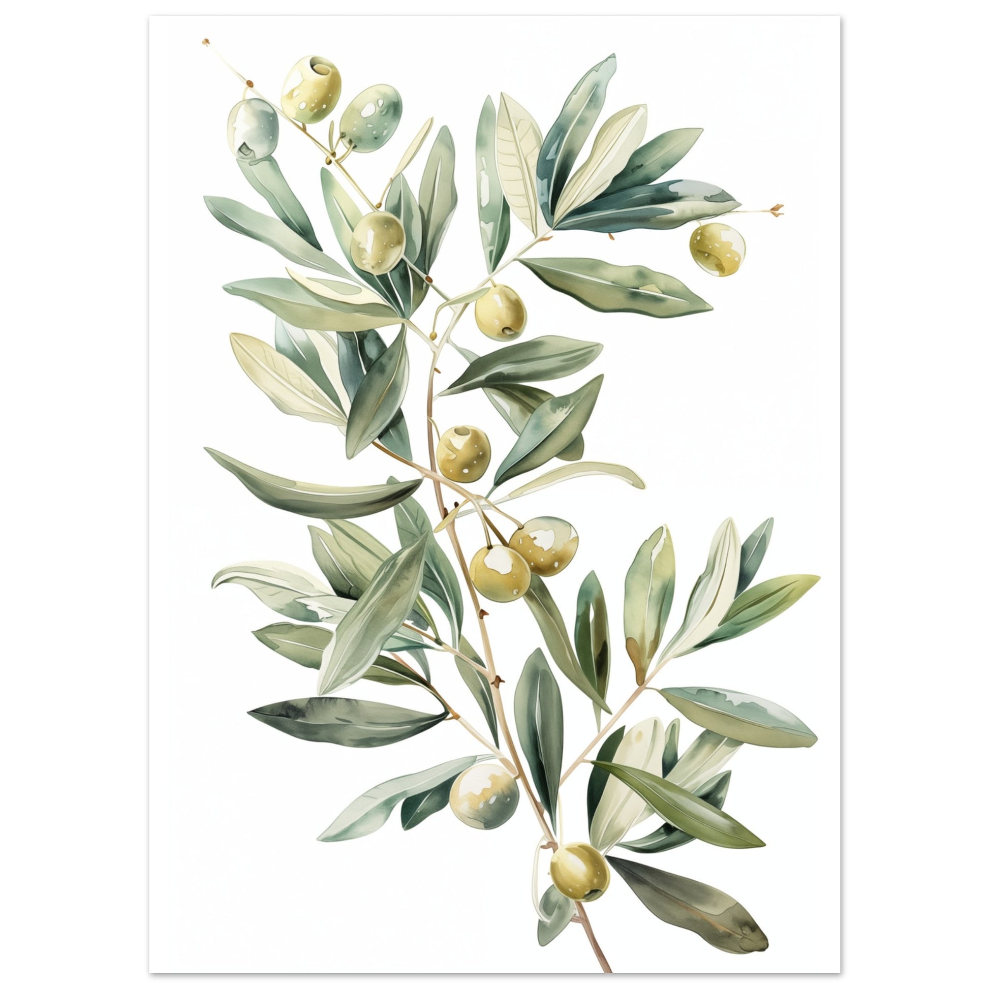 Mediterranean Olive Poster 13x18 cm - Pixara