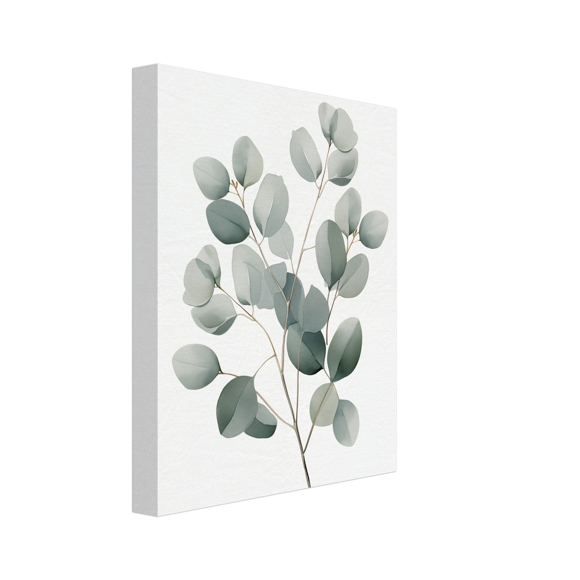 Leinwand „Eukalyptus“ mit Eukalyptuszweig mit runden salbeigrünen Blättern, 20x25 cm