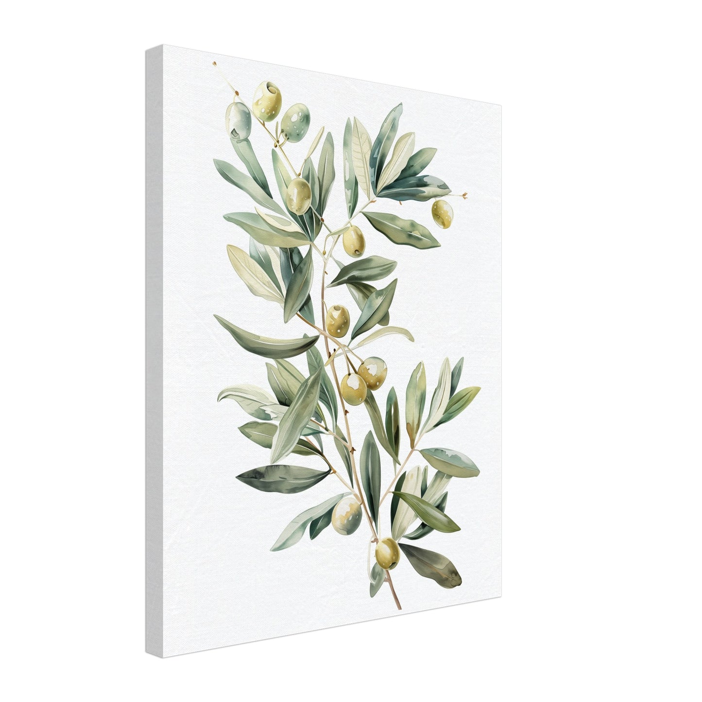 Mediterranean Olive Leinwand 40x50 cm - Pixara