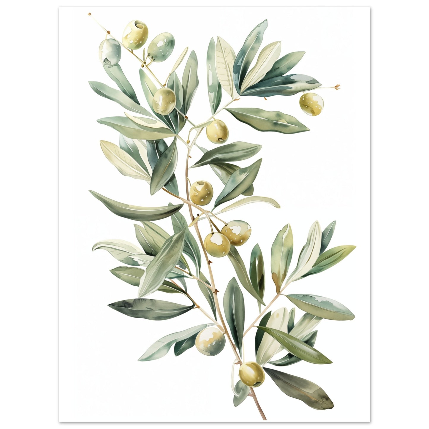 Mediterranean Olive Poster 30x40 cm - Pixara