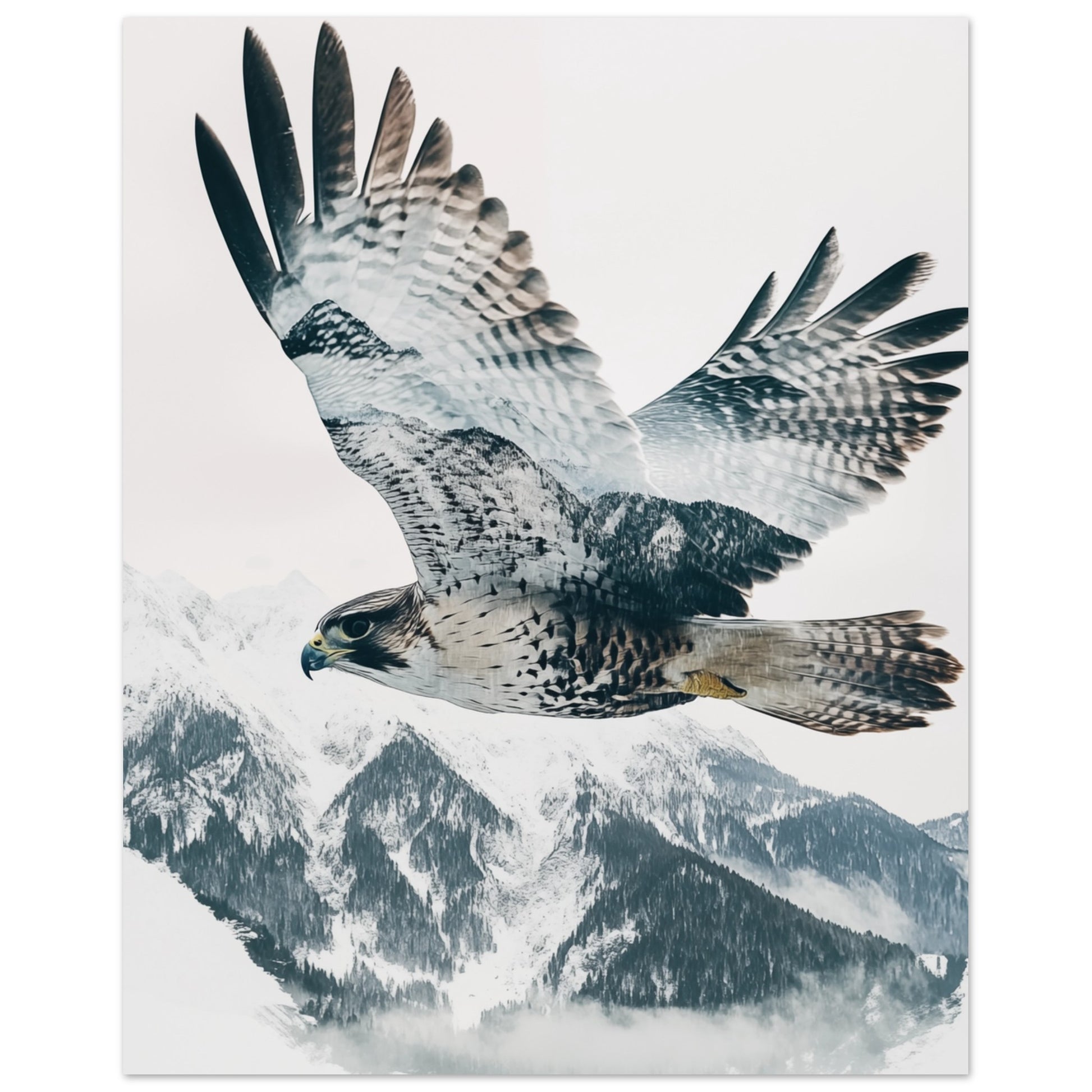 Doppelbelichtung Falke im Flug 20x25 cm - Pixara