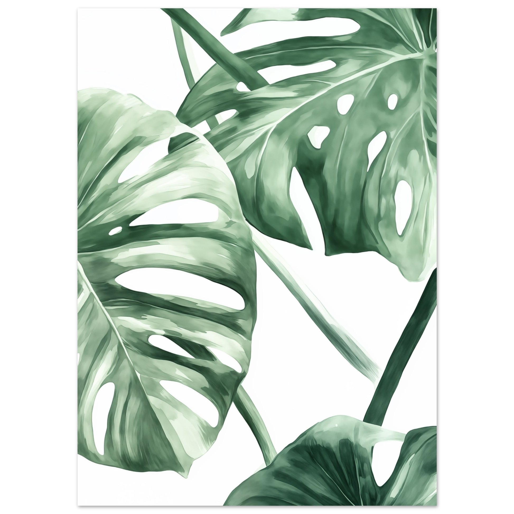 Monstera Eleganz Poster 13x18 cm - Pixara