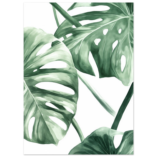 Poster „Monstera Eleganz“ mit üppige Monstera-Blätter in sattem Grün auf weißem Grund, 13x18 cm