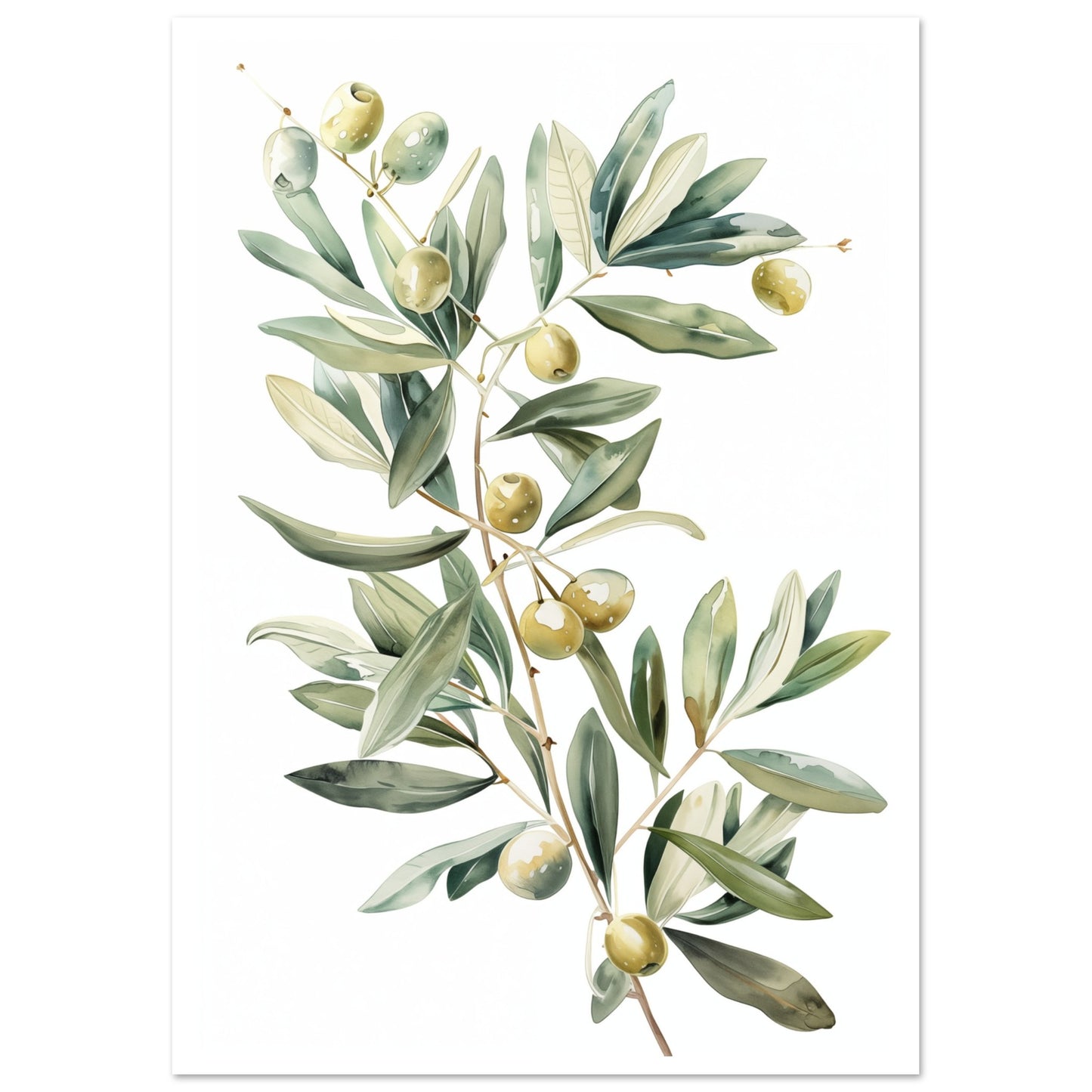 Mediterranean Olive Poster A4 21x29.7 cm - Pixara